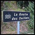 GOUTTE DES OEILLETS 90.JPG