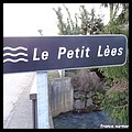 PETIT LEES 64.JPG