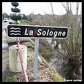 SOLOGNE 03.JPG